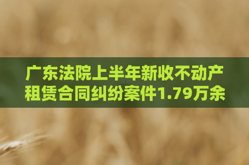 广东法院上半年新收不动产租赁合同纠纷案件1.79万余件